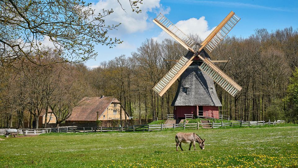 Blick in die Baugruppe Niederrhein, Freilichtmuseum Kommern