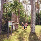 "Herkulespfad Buchen" - Grillplatz Lausenberg