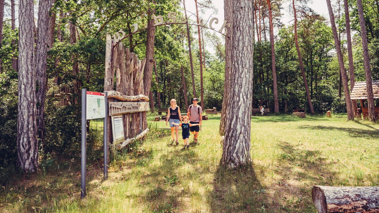 "Herkulespfad Buchen" im Odenwald "Herkulespfad Buchen" - Grillplatz Lausenberg