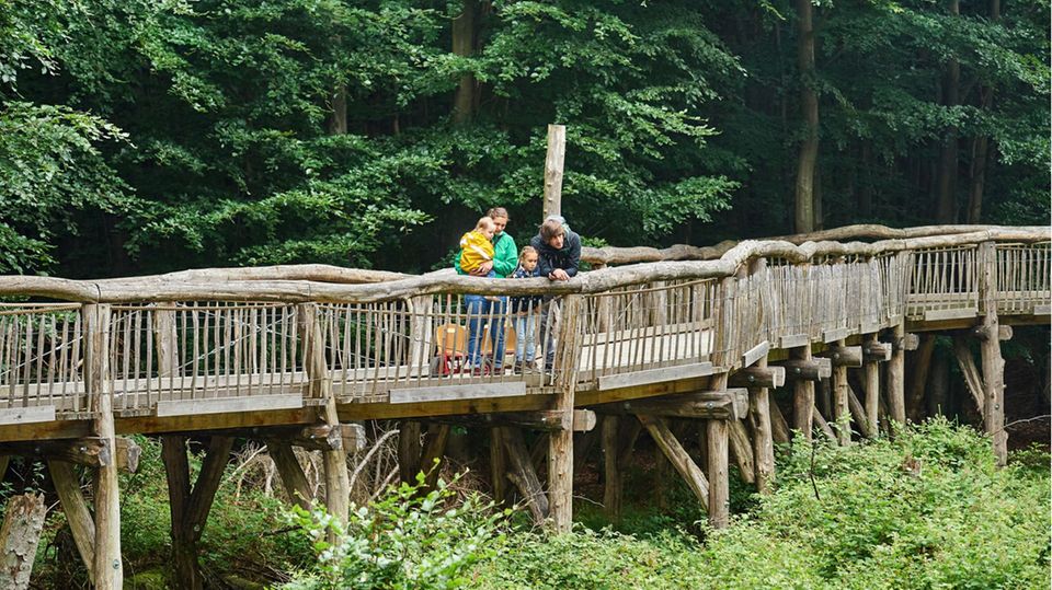 Naturkundepfad "Wilder Weg" in der Eifel