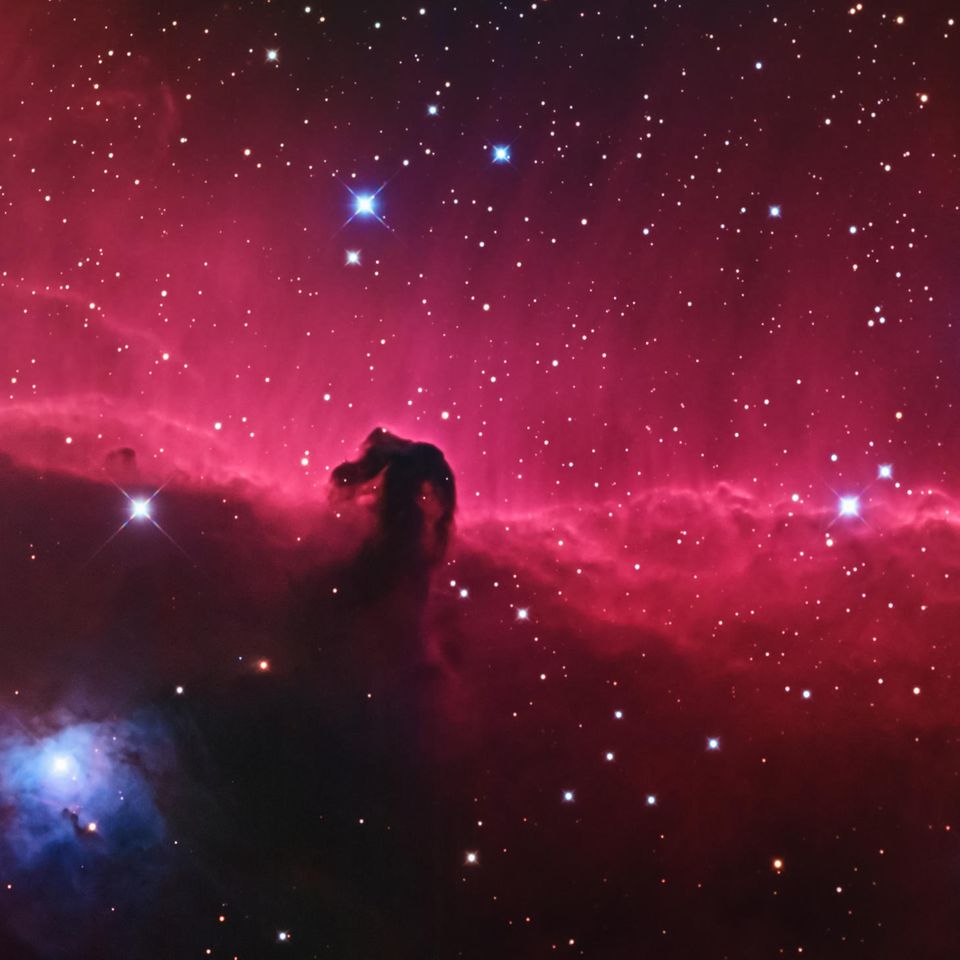 Der Pferdekopfnebel sticht vor der rot leuchtenden Gaswolke deutlich hervor.