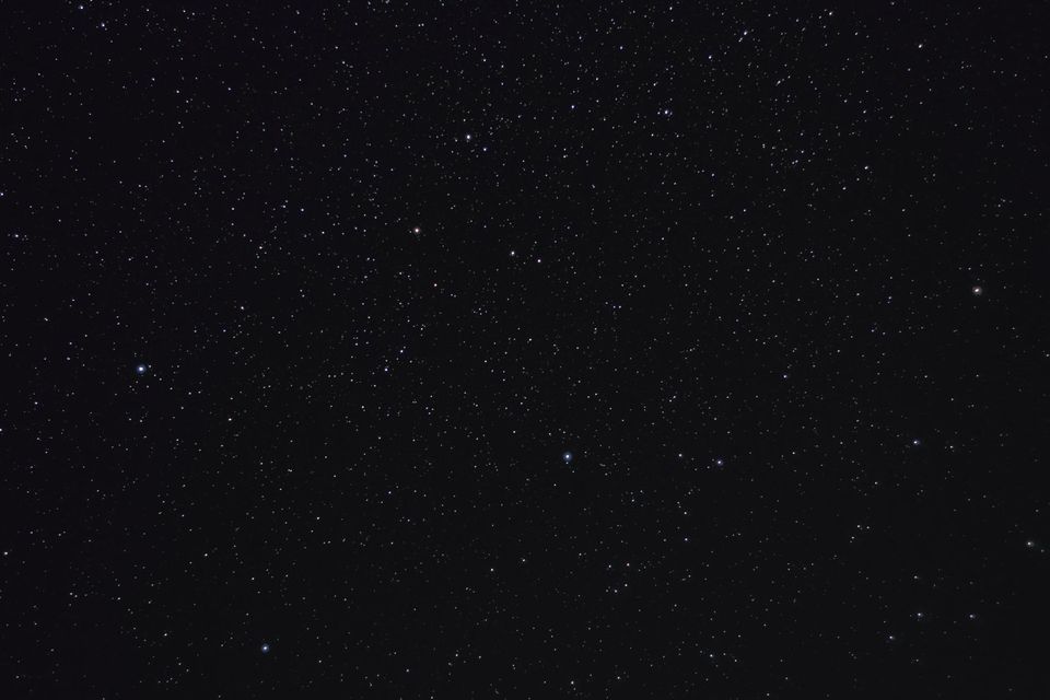 Pferdekopfnebel: Das Sternbild Pegasus am Nachthimmel, erkennbar an den vier hellen Sternen, die ein Viereck bilden.