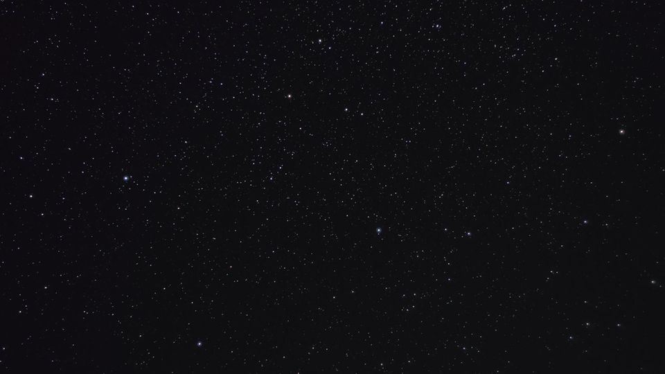Pferdekopfnebel: Das Sternbild Pegasus am Nachthimmel, erkennbar an den vier hellen Sternen, die ein Viereck bilden.