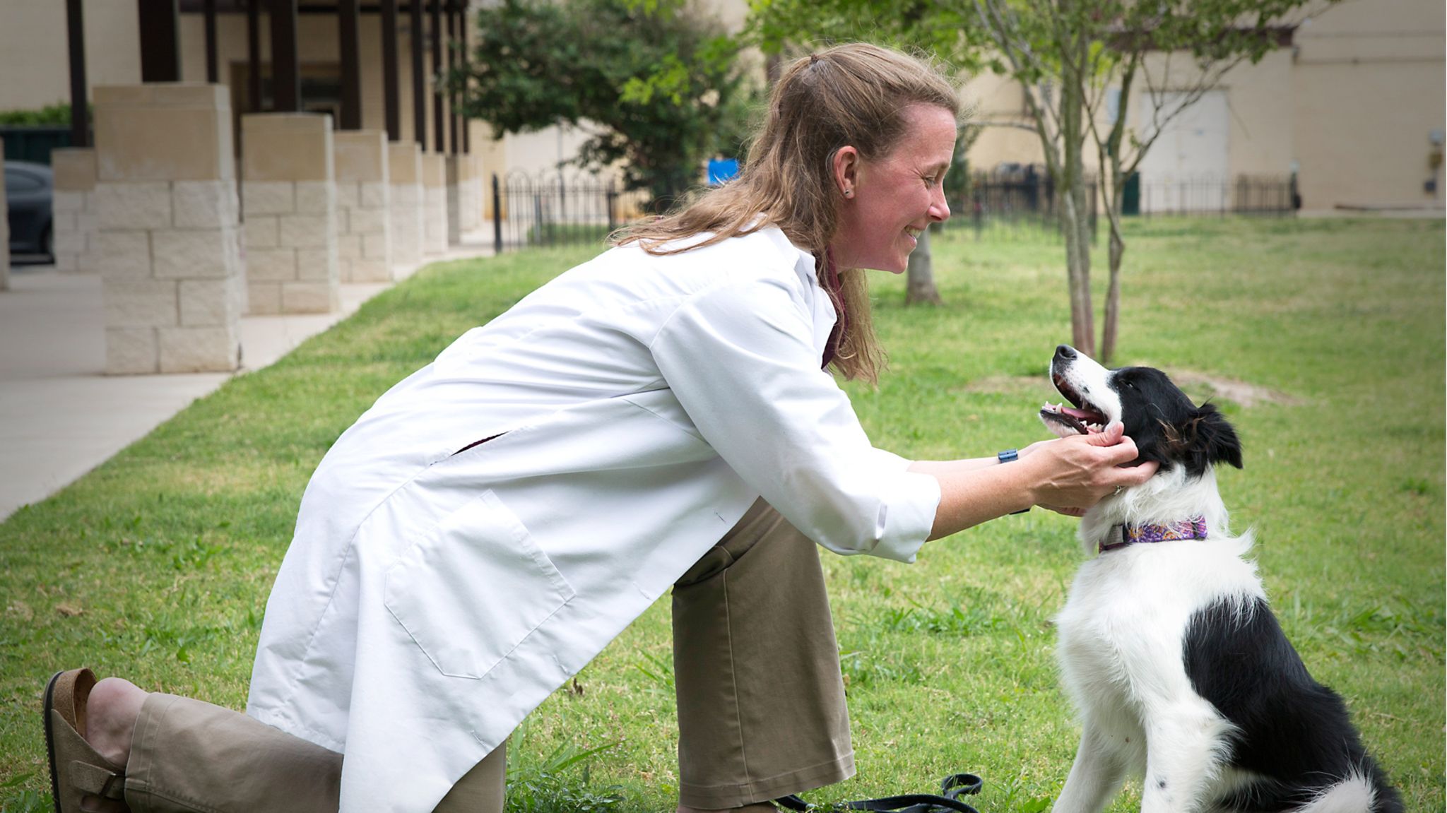 Hunde altern wie Menschen auch, nur viel schneller. Im "Dog Aging Project" an der Texas A&M University werden Alterungsprozesse an den Vierbeinern erforscht
