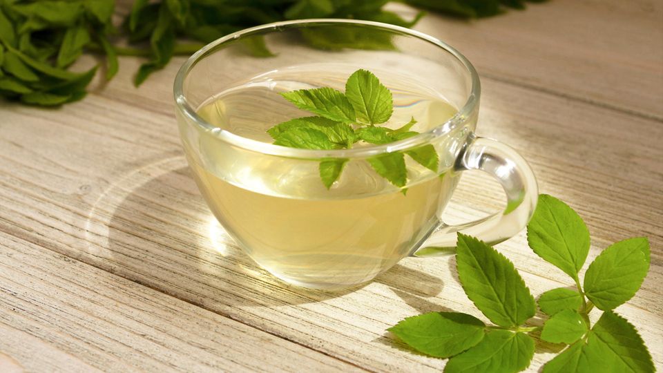 Tee aus Gierschblättern