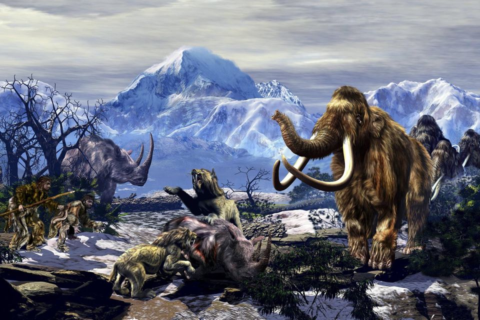 Graphik der letzten Eiszeit mit Mammut, Säbelzahnkatzen und Wolnashörnern