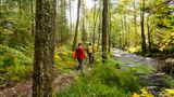 Wandernde im malerischen Eyachtal