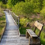 Holzbohlenweg durch das Todtenbruch Moor