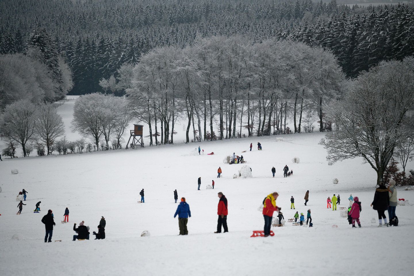Schlittenfahren in der Eifel