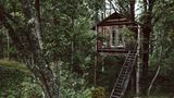 Ein Baumhaus der Farm- und Ferienanlage Urnatur