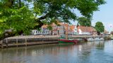 Ribe
