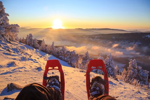 Schneeschuhwandern: Schneeschuhe vor winterlicher Landschaft