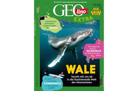 GEOlino Extra Nr. 98 - Wale