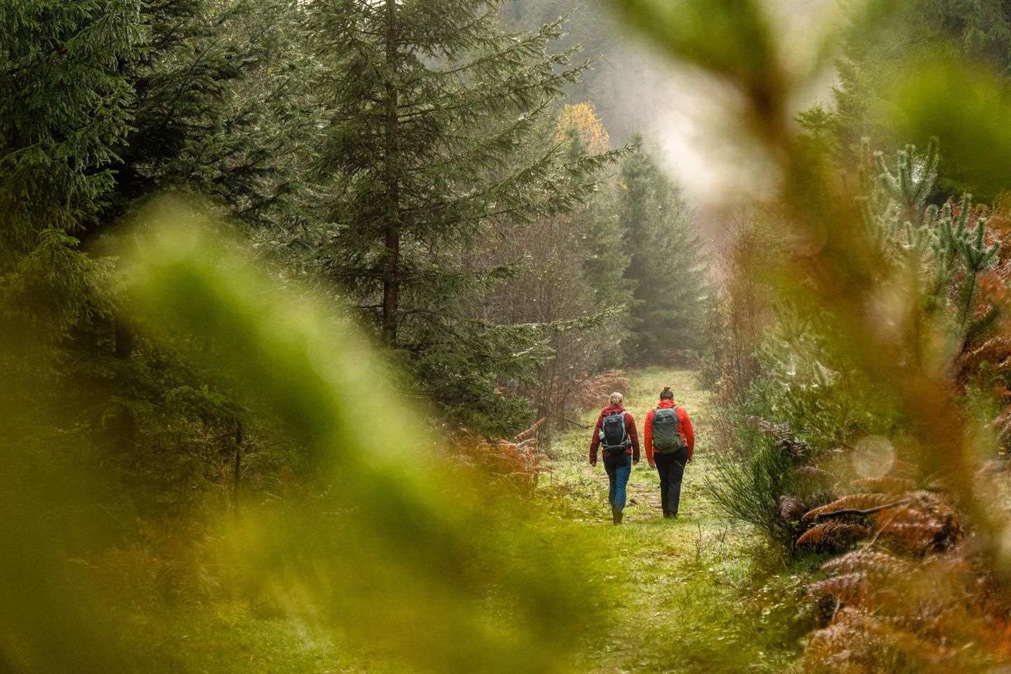 "Aichelberger Traumtour" im Schwarzwald  Aichelberger Traumtour