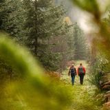 Aichelberger Traumtour