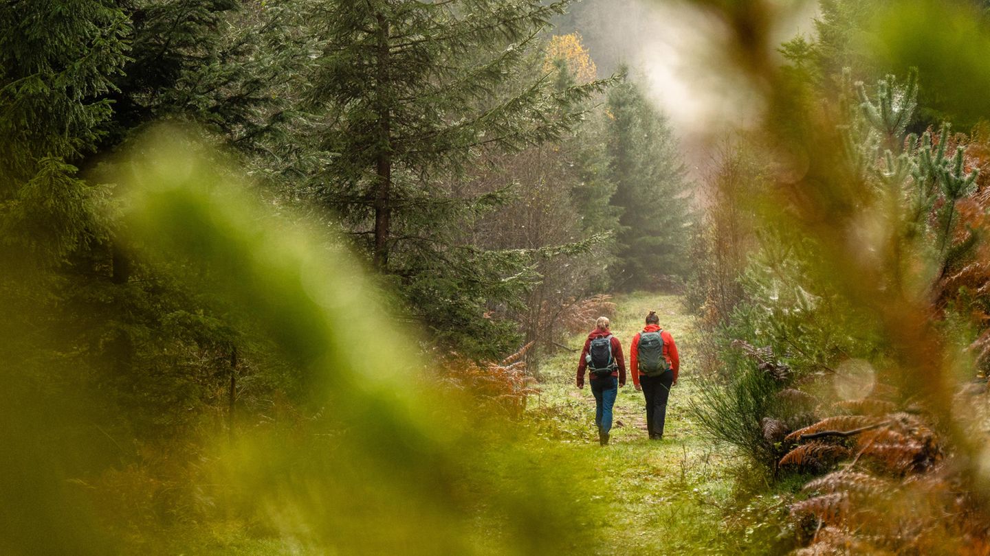 "Aichelberger Traumtour" im Schwarzwald Aichelberger Traumtour