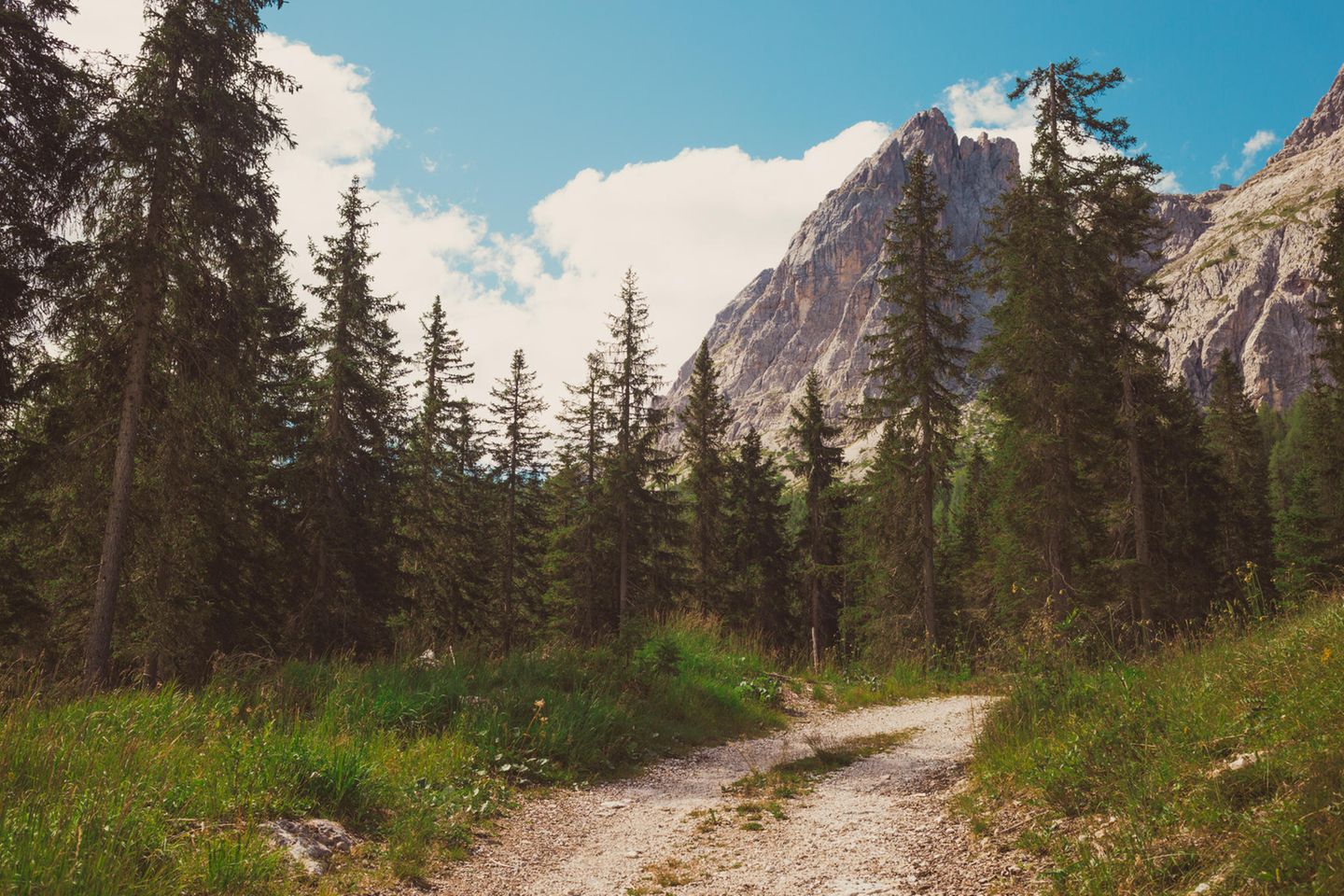 Wanderweg in der Nähe von Moos in den Dolomiten