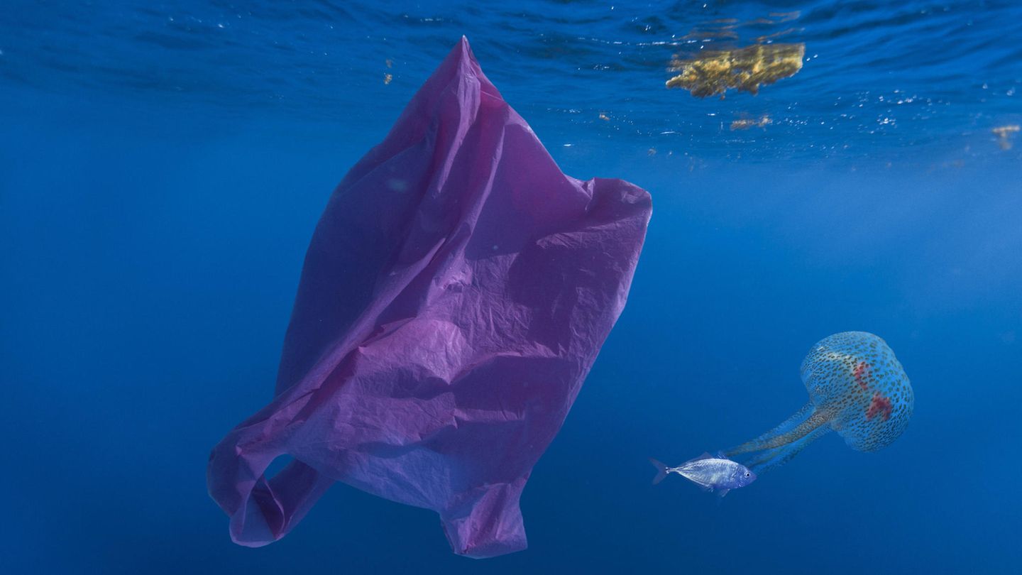 Eine Mülltüte im Meer