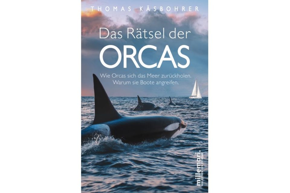 Thomas Käsbohrer: "Das Rätsel der Orcas. Wie Orcas sich das Meer zurückholen. Warum sie Boote angreifen", millemari Verlag 2023