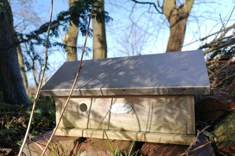 Hummelhaus im Garten