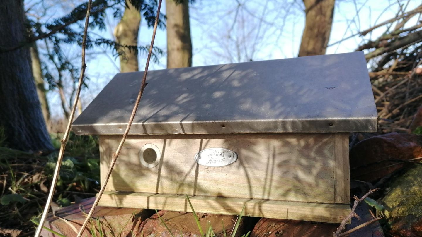 Hummelhaus im Garten