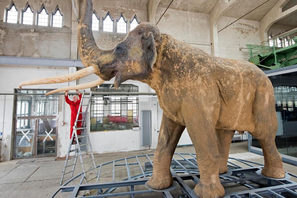 Peter Luckner und Modell eines Waldelefanten