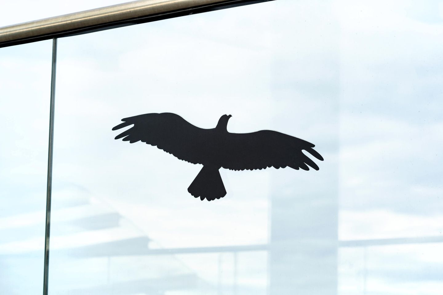 Ein Aufkleber in Form eines Raubvogels ist an einer Fensterscheibe zu sehen
