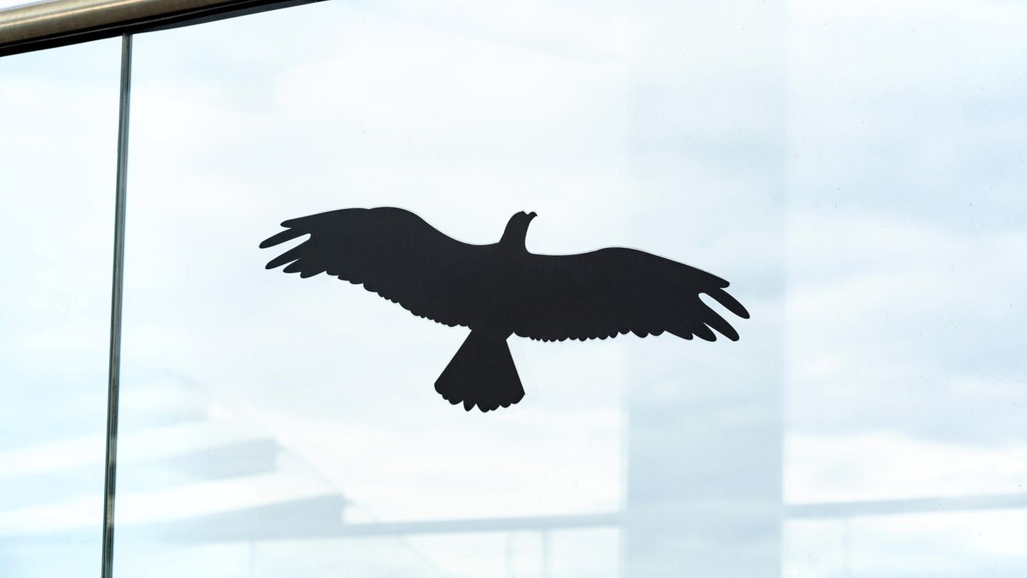 Ein Aufkleber in Form eines Raubvogels ist an einer Fensterscheibe zu sehen