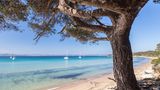 Porquerolles der Îles d'Hyères