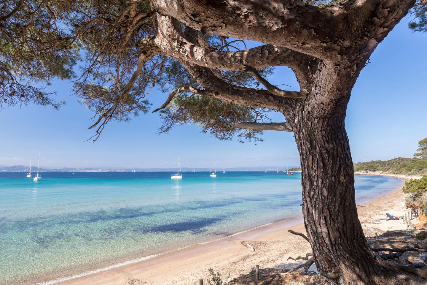 Porquerolles der Îles d'Hyères