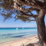 Porquerolles der Îles d'Hyères