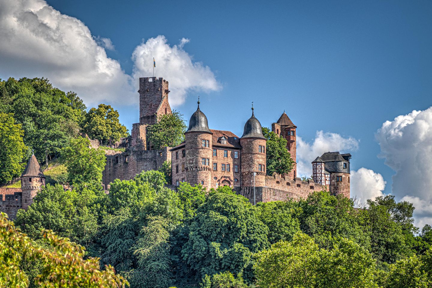 Zeitreise auf Burg Wertheim Von Bäumen umringte Burg