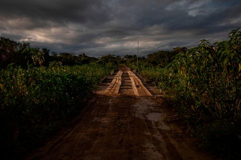 Eine wacklige Piste aus Brettern irgendwo im Nirgendwo: Das Fortkommen im Pantanal erfordert Geduld und Mut 