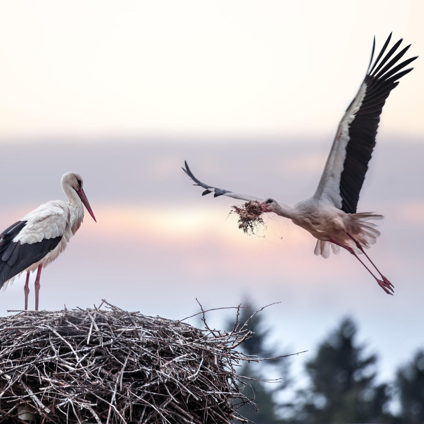 Testen Sie Ihr Wissen im Quiz