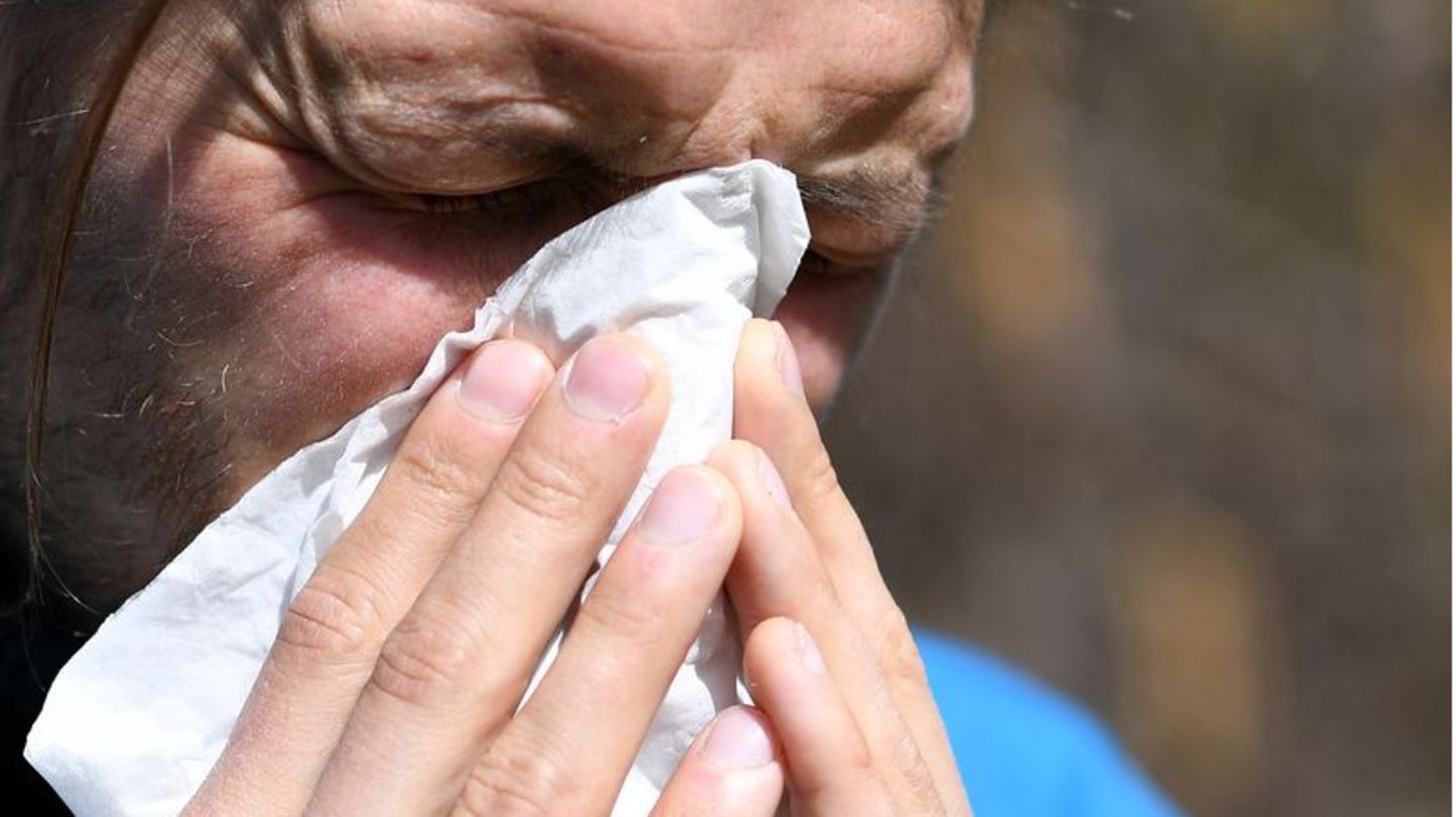 Kein Spaß für Allergiker: Die Pollensaison 2023 hat den Fachleuten zufolge begonnen