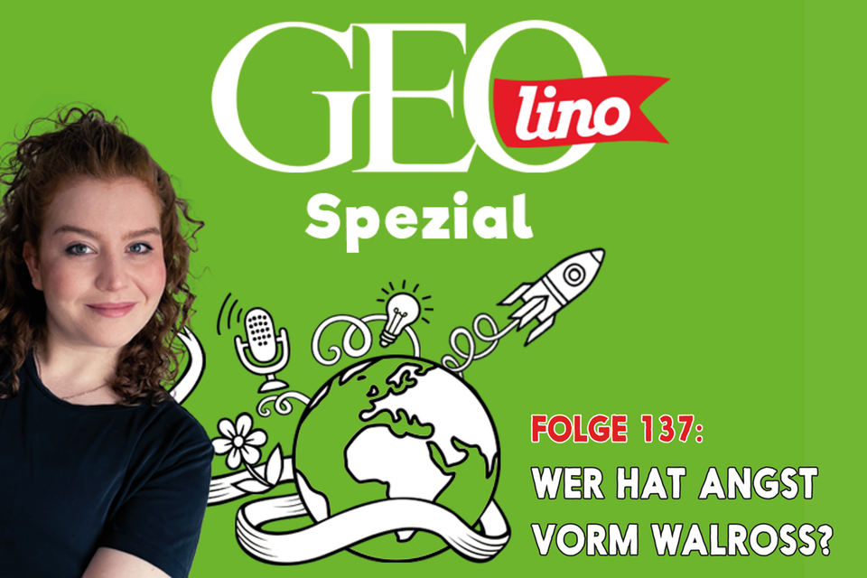 Das Thema in Folge 137 von GEOlino Spezial, unserem Podcast für Kinder - Wer hat Angst vorm Walross?