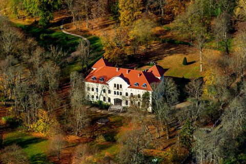 Mecklenburg-Vorpommern: Hier können Sie einmal Schlossherrin sein
