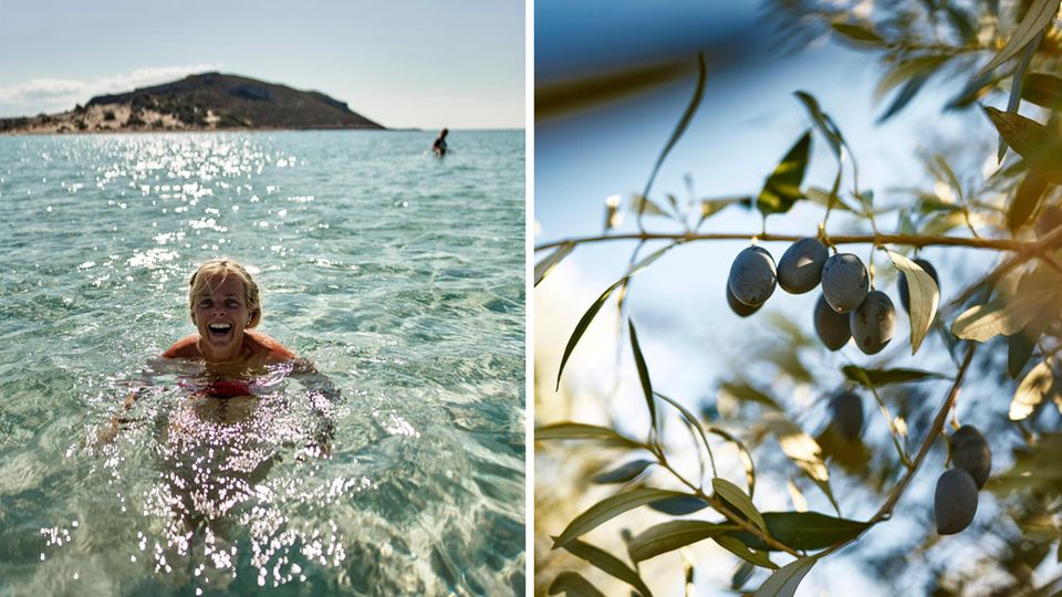 Roadtrip: Kirsa zieht’s in die Glitzerwelt vor der Insel Elafonisos, bei einer Wohlfühltemperatur von 22 Grad Celsius. Dunkelviolett und prall hängen die Kalamata-Oliven an den Zweigen. Später werden sie von Hand geerntet Kirsa zieht’s in die Glitzerwelt vor der Insel Elafonisos, bei einer Wohlfühltemperatur von 22 Grad Celsius. Dunkelviolett und prall hängen die Kalamata-Oliven an den Zweigen. Später werden sie von Hand geerntet