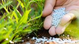 Chemischer Dünger wird im Garten ausgebracht