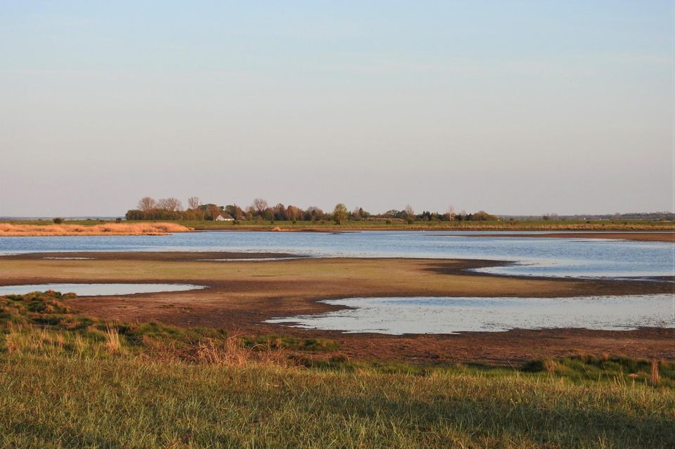 Greifswalder Bodden Karrendorfer Wiesen