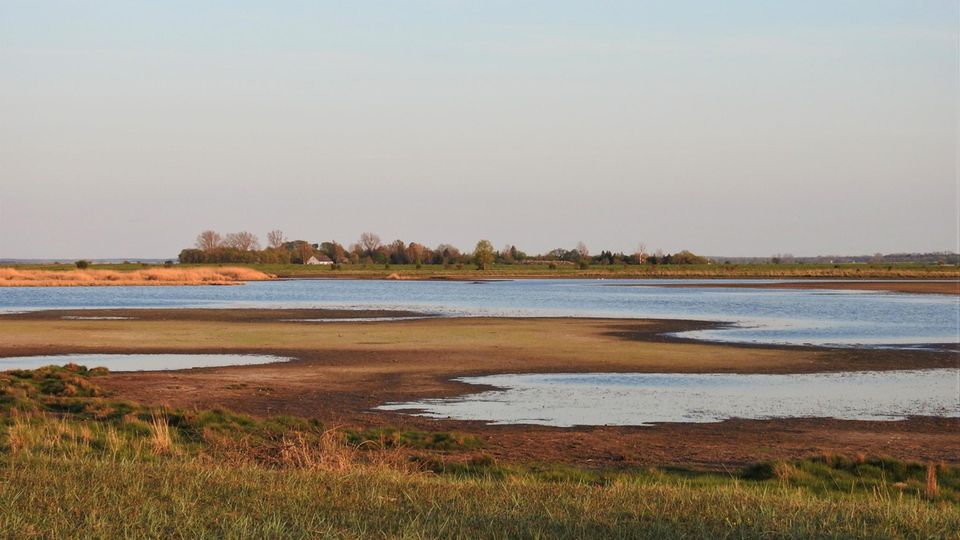 Greifswalder Bodden Karrendorfer Wiesen