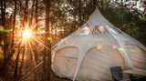 Warum Zelten, wenn man auch im Sterne-Hotel unterkommen kann? Sterne haben wir auch, Millionen am Himmel. Camping ist im "Raus und Gut" weder Überlebenstraining noch Spießerangelegenheit: Wir bieten Tipis mit Betten, Teppichen, Kühlschränken – stilvoll und lässig. Ihr Lieblingsplatz? An der Rezeption. Von da sehe ich den See, gerahmt von Wald. Mittlerweile steht hier auch eine Palettencouch, damit sich alle dem Ausblick gemütlich hingeben können. Und wohin, wenn man mal raus aus dem "Raus und Gut" will? Ins "Café Schauwerk" in Altdöbern: eine hippe Schaumanufaktur mit – sehr oft getestet – großartigen Kuchen.
