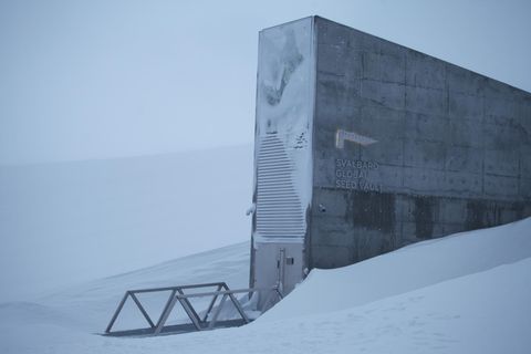 Eingang des Saatguttresors umgeben von Schnee