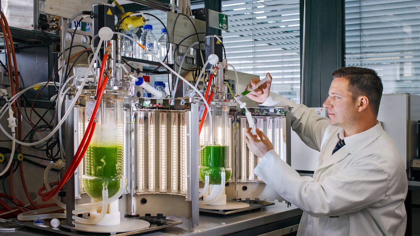 Prof. Thomas Brück bei der Probenentnahme