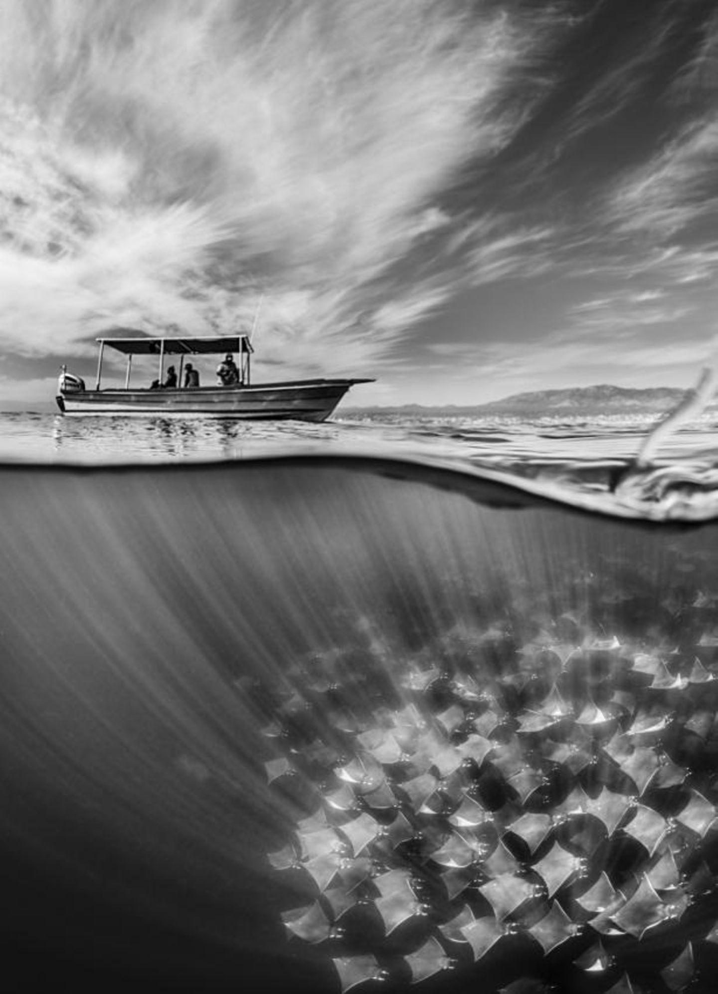 Photographer Name: Martin Broen  Image Name: Below the Surface  Year: 2023  Image Description: A split shot of the mobula ray fever cruising below the surface.  Series Name: Mobula Ray Fever  Series Description: A series of photographs taken below, above and within the water during the annual mobula ray migration in Baja California. The ray fever creates intriguing dynamic patterns and textures underwater, in contrast to the individual jumps outside the water.