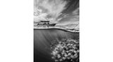 Photographer Name: Martin Broen  Image Name: Below the Surface  Year: 2023  Image Description: A split shot of the mobula ray fever cruising below the surface.  Series Name: Mobula Ray Fever  Series Description: A series of photographs taken below, above and within the water during the annual mobula ray migration in Baja California. The ray fever creates intriguing dynamic patterns and textures underwater, in contrast to the individual jumps outside the water.