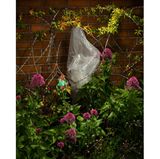 Photographer Name: Dillon Marsh  Image Name: Arcadia Place 5  Year: 2023  Image Description: In late 2022 I visited this overgrown plot near to where I live in Observatory, Cape Town.  Series Name: Arcadia Place  Series Description: A few years ago, an old retirement home in my neighbourhood was demolished to make way for a larger home for the aged. However, the construction has been delayed and the plot of land left to its own devices. An array of weeds has now sprung up among the rubble, interweaving with the wild growth of the surviving flora of the original gardens. High walls hide the plot from the busy streets that surround it, but the presence of humans is evident in the scattering of wind-blown rubbish that rests amongst the foliage. This still feels like a protected space, though, and has even become home to a colony of bees. The old retirement home was called Arcadia Place, a name that suggests a peaceful pastoral setting. This seems even more appropriate now, although construction will eventually begin and this inadvertent sanctuary will come to an end.