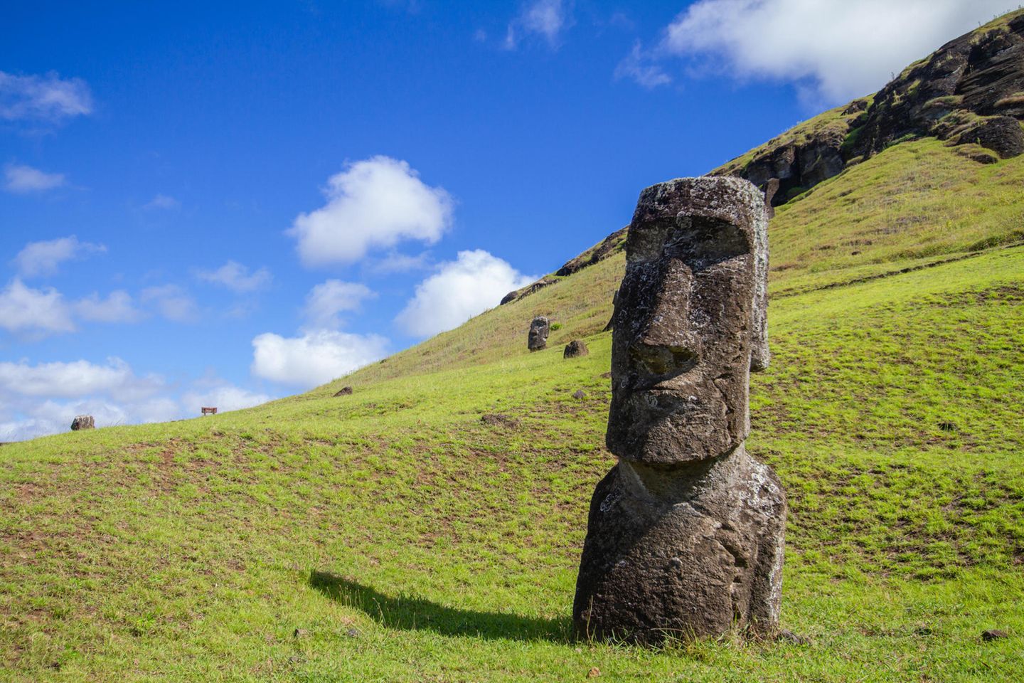 Moai-Statue auf der Osterinsel