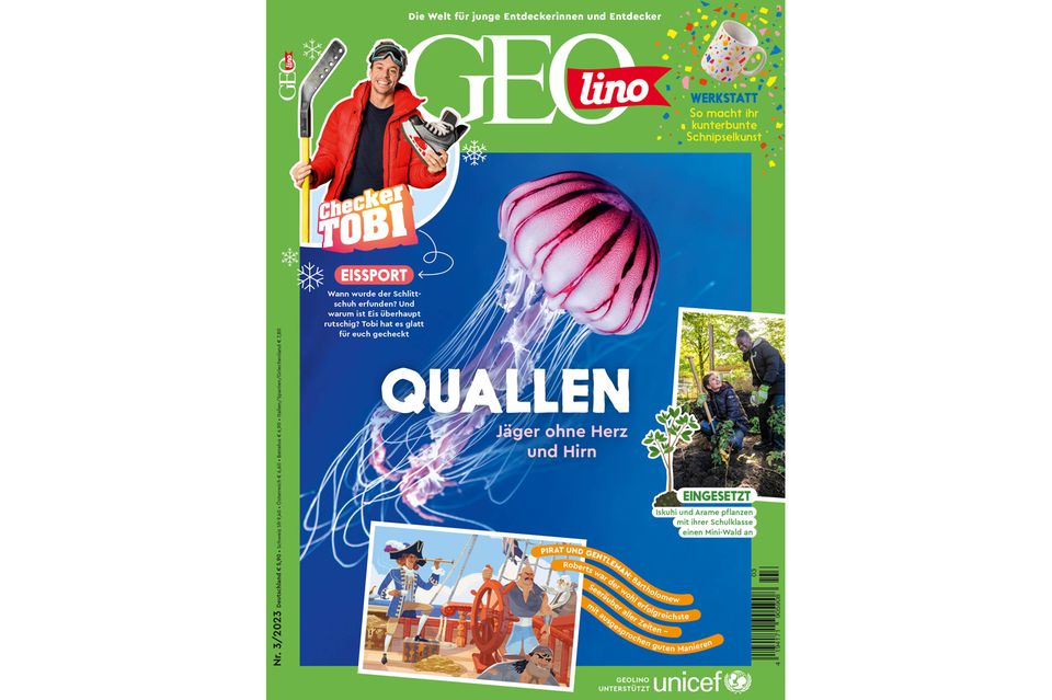 GEOlino Magazin: Quallen