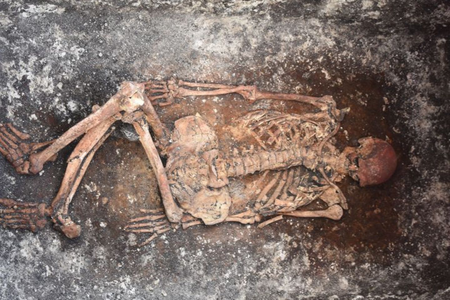 Dieses Skelett eines Reiters wurde im bulgarischen Malomirovo entdeckt